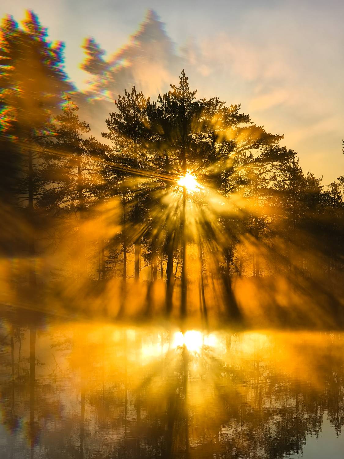 Солнце на болотах Солнце на болотах