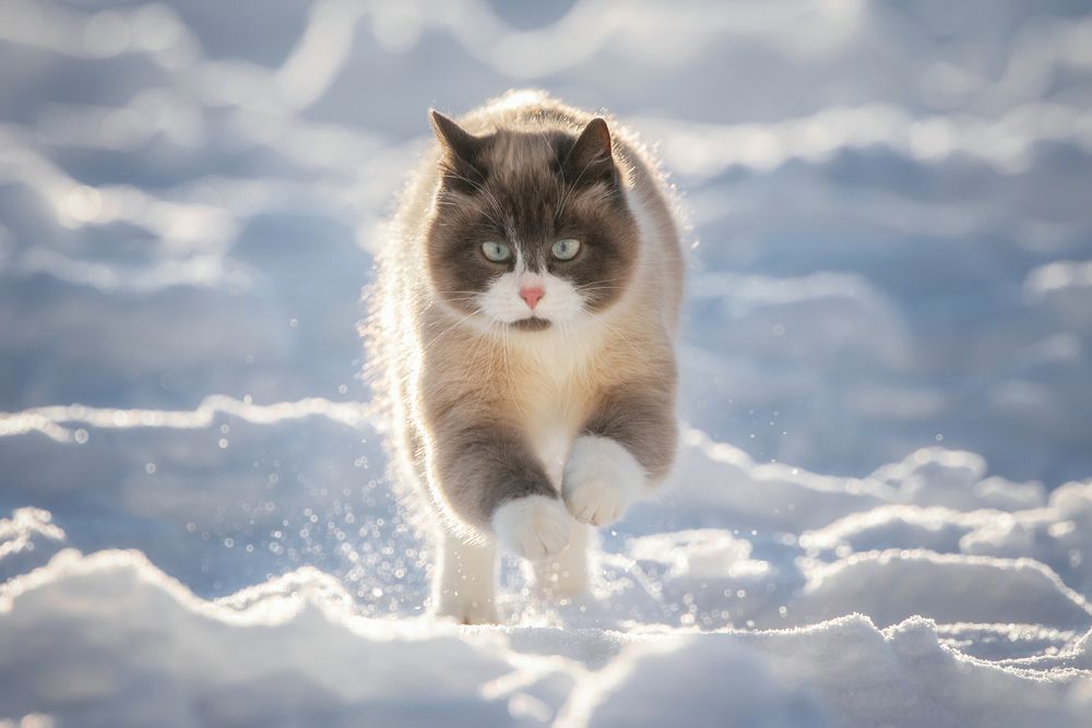 Photograph by Зубкова Юлия
