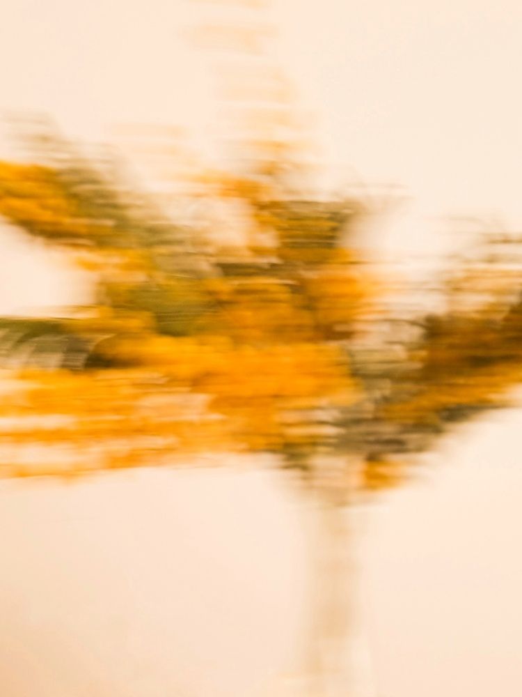 Фотография автора Ольга Дёмина