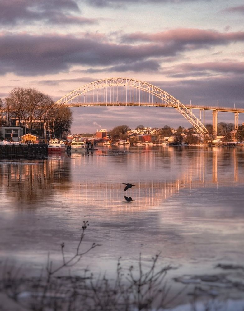 Фотография автора Alina Filimonova