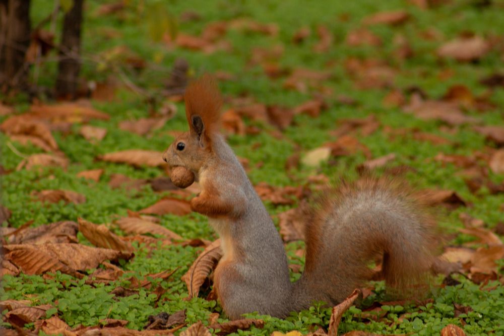 Photograph by Ирина Титаева