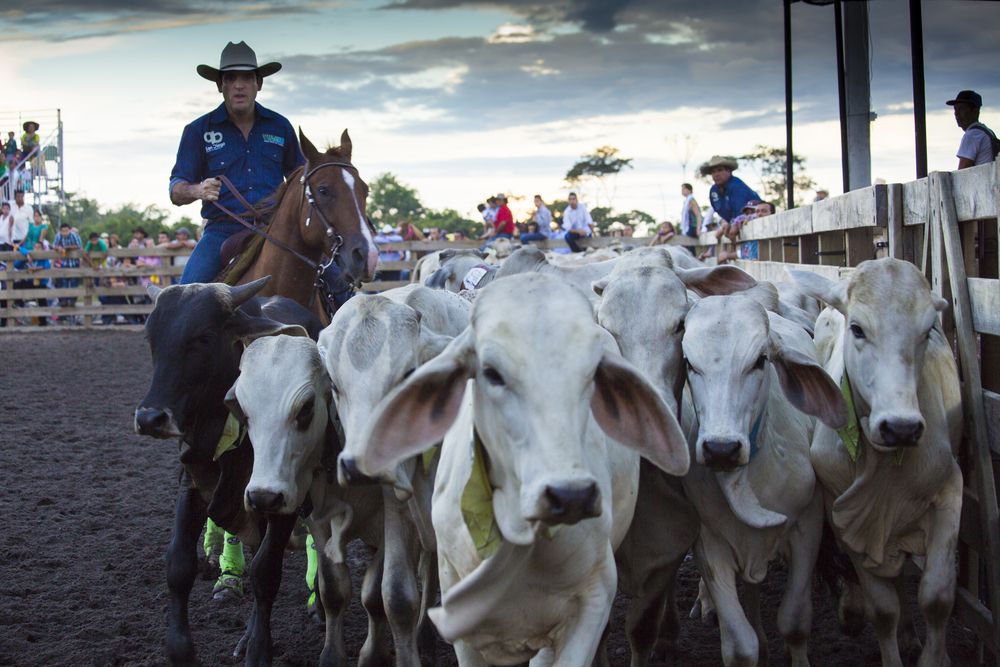 Photograph by Jorge Ivan Vasquez