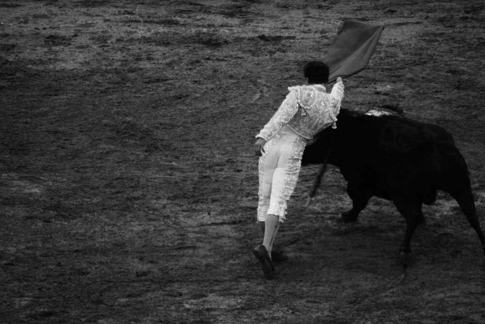 Recuerdos de una tarde taurina en memoria del toro