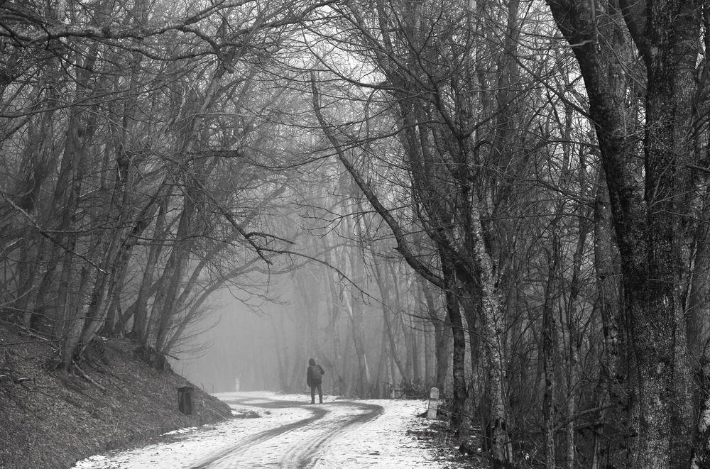 Photograph by Лада Денисова