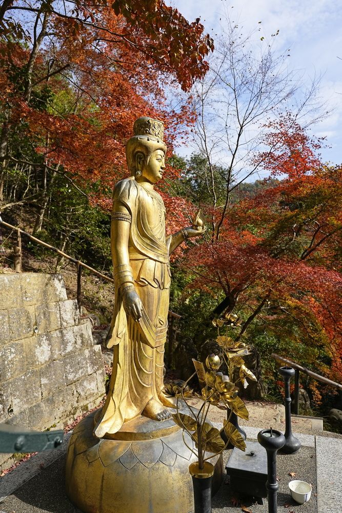 Пригород Киото