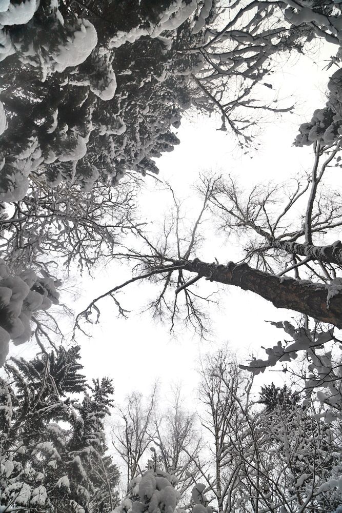 Photograph by Лада Денисова