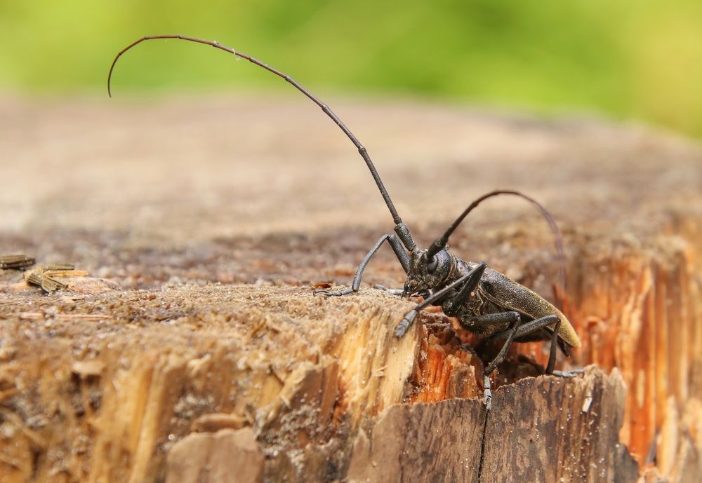 Photograph by Валентина Куренкова