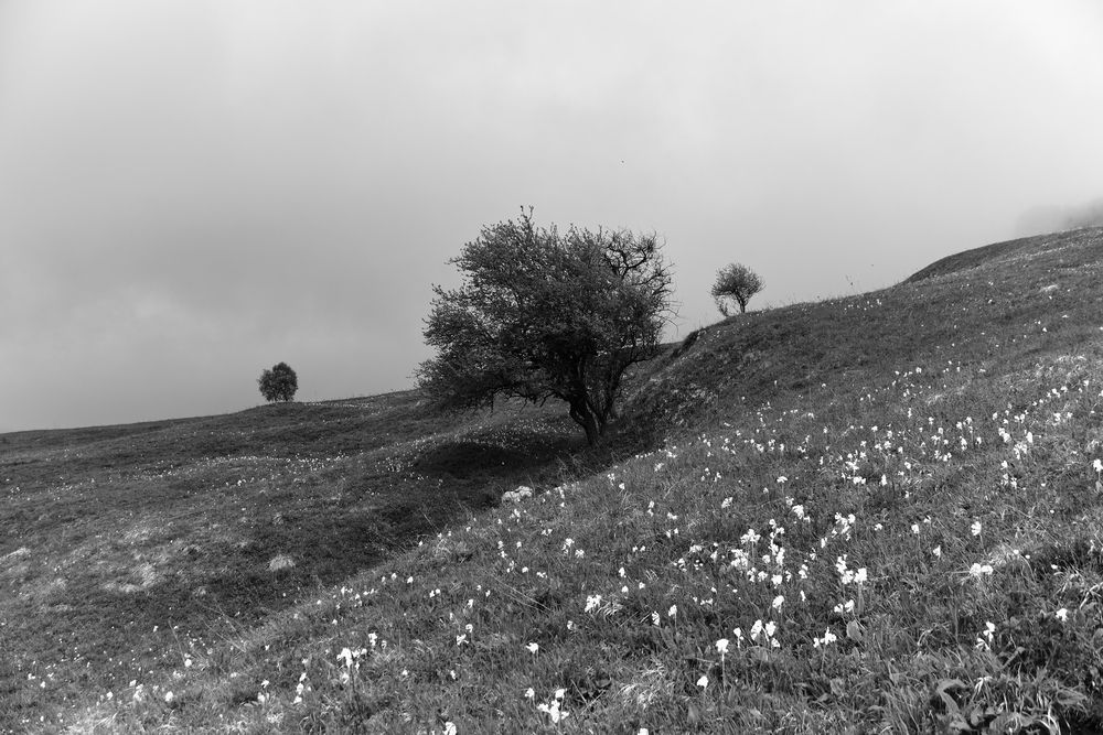 Photograph by Camilla Burkhanova