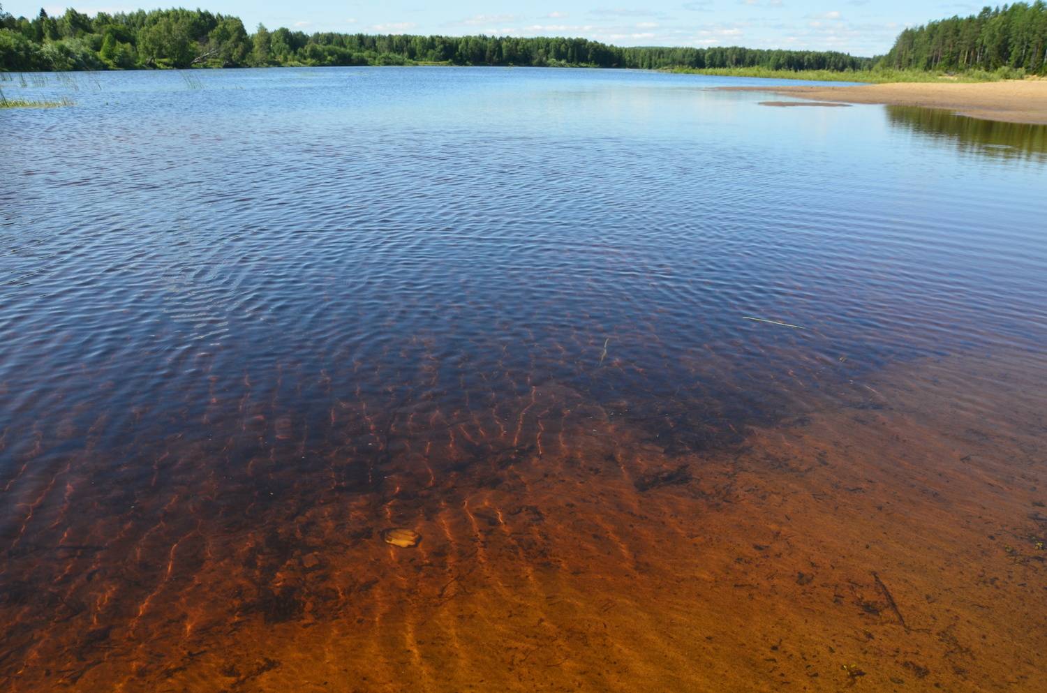 Фотография #13273327