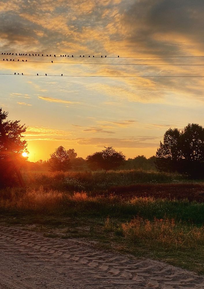 Photograph by Volga Shishko