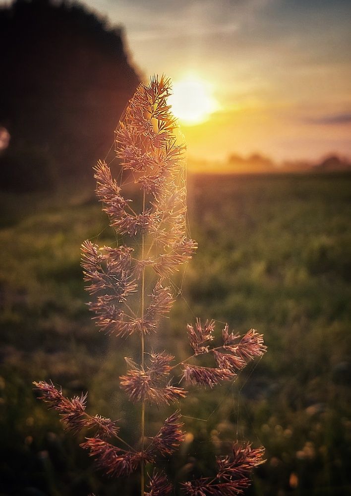 Photograph by Volga Shishko