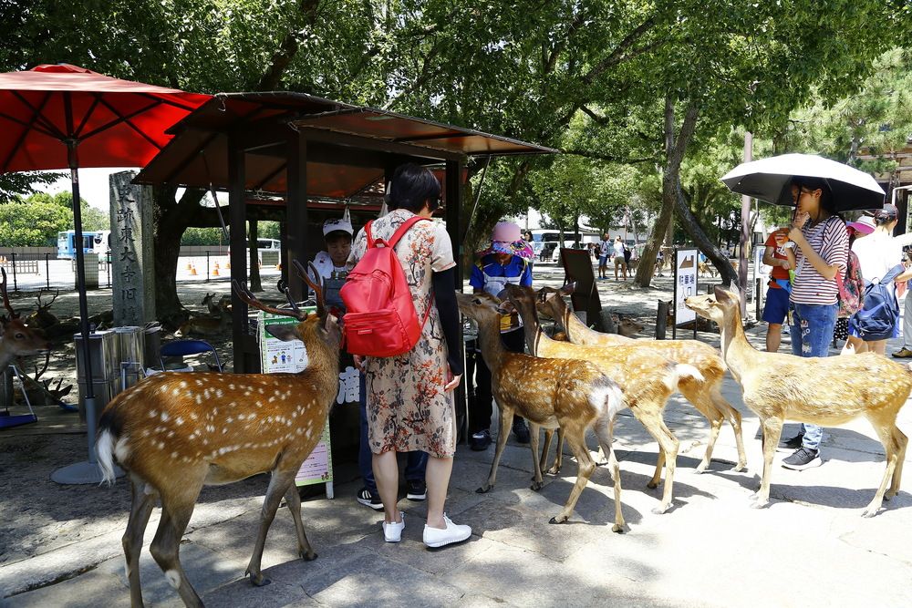 Photograph by Igor Pavel