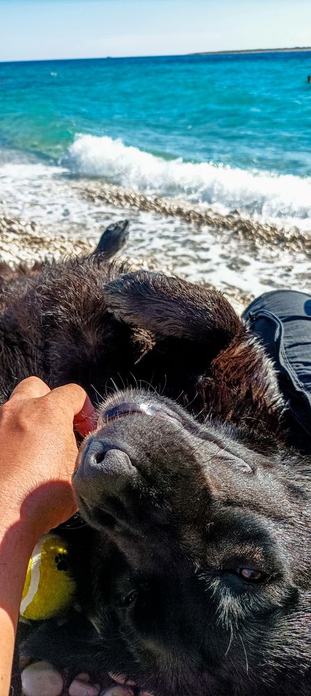 Фотография автора Chorche Prigo