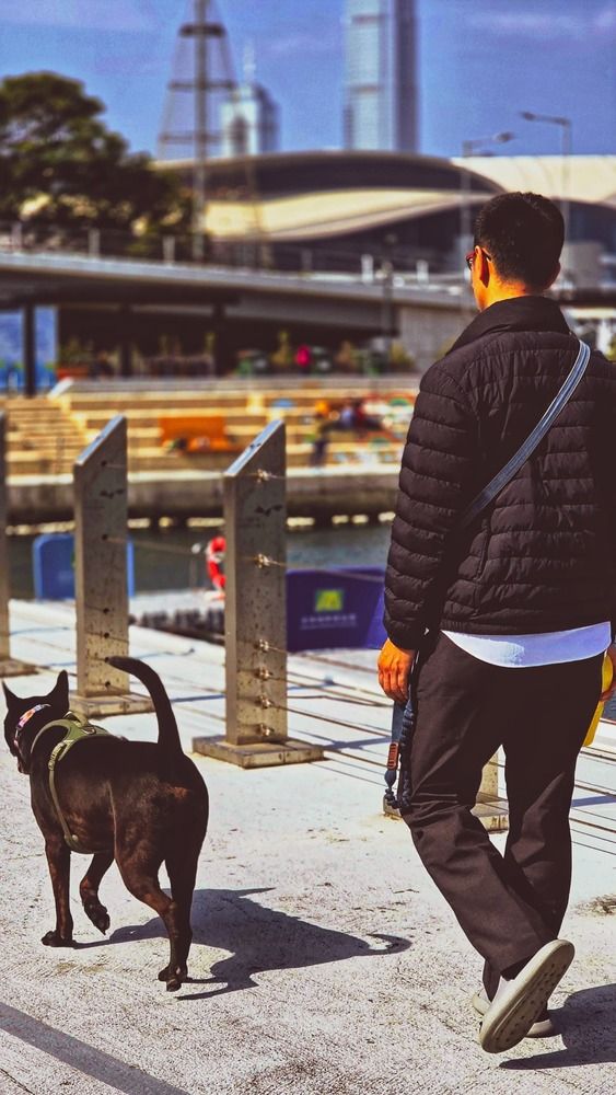 Photograph by Bryan Lee