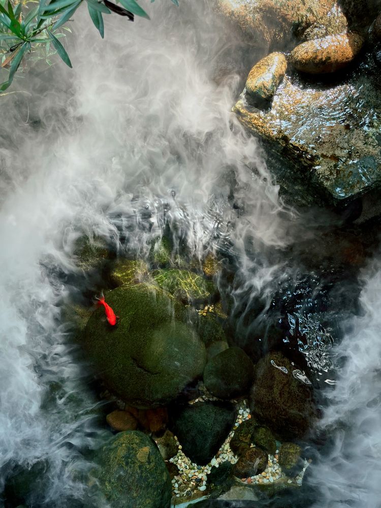 Photograph by Nam Tran Duy