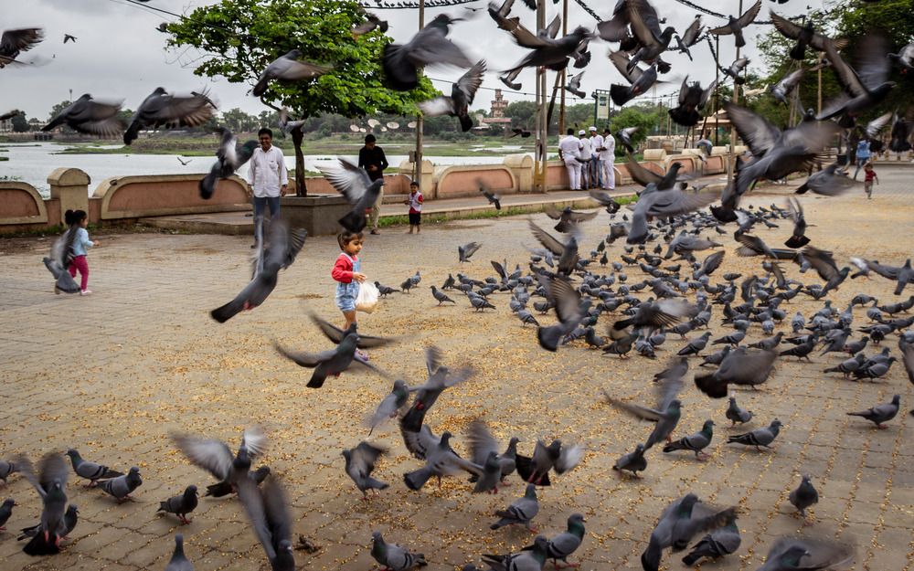 Photograph by Анатолий Костерев