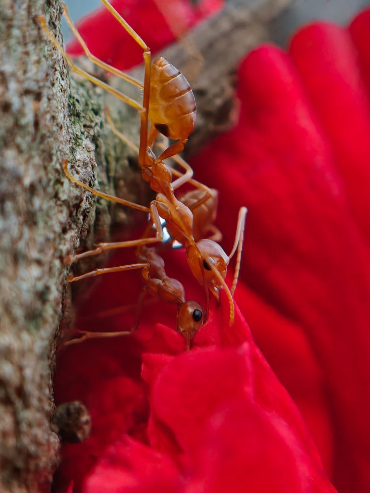 Photograph by Ameen Ahmed L