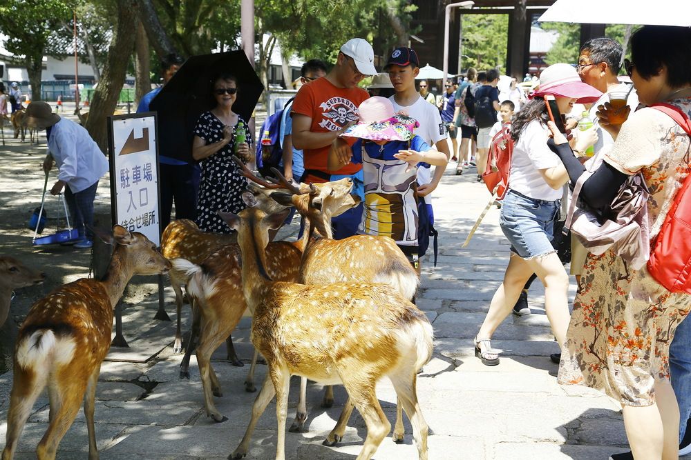 Photograph by Igor Pavel