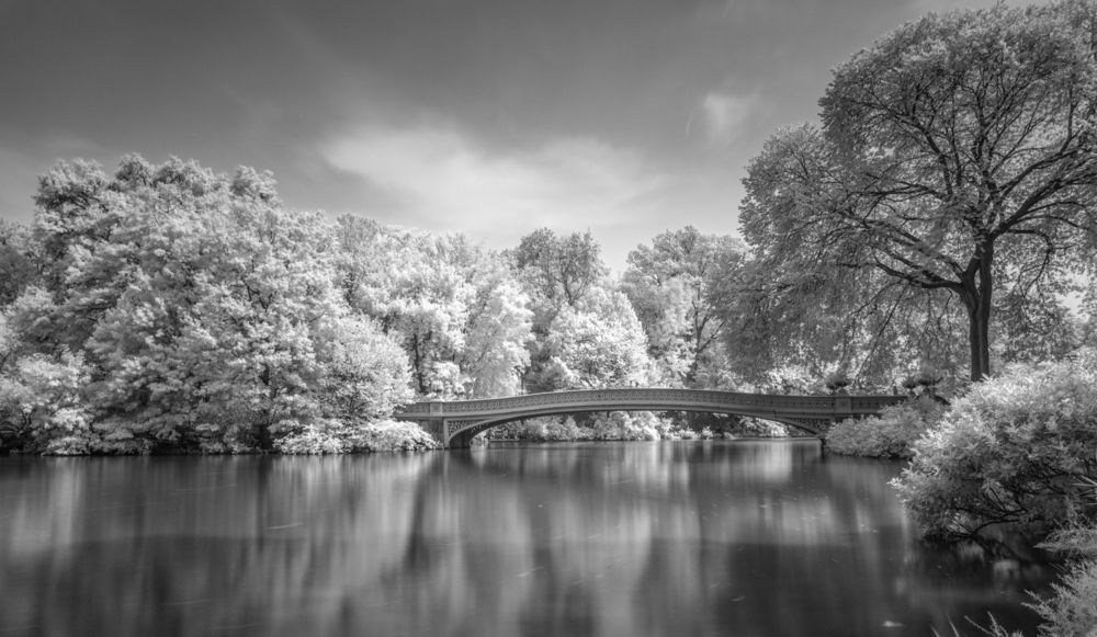 Photograph by Austin Bueno