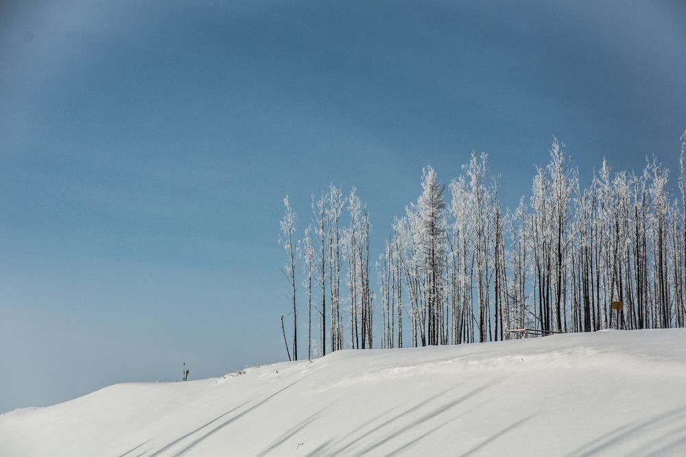 Photograph by Света Назарова