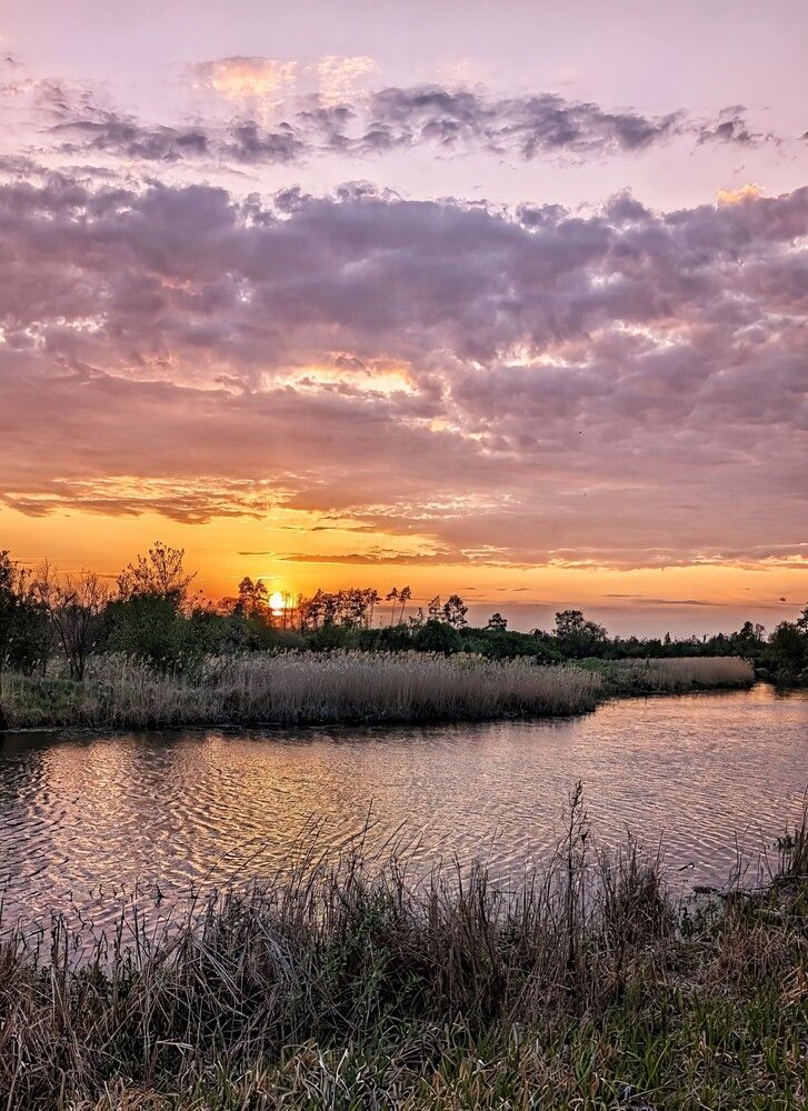 Photograph by Любовь Колмакова