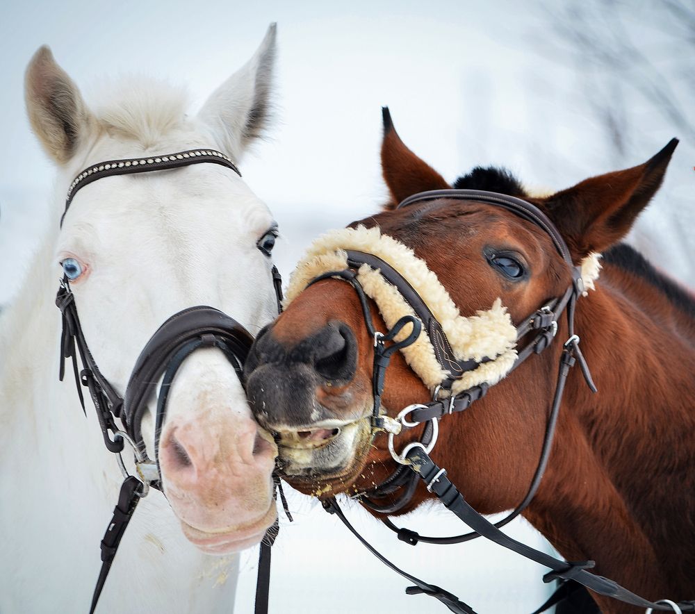 Служебный роман