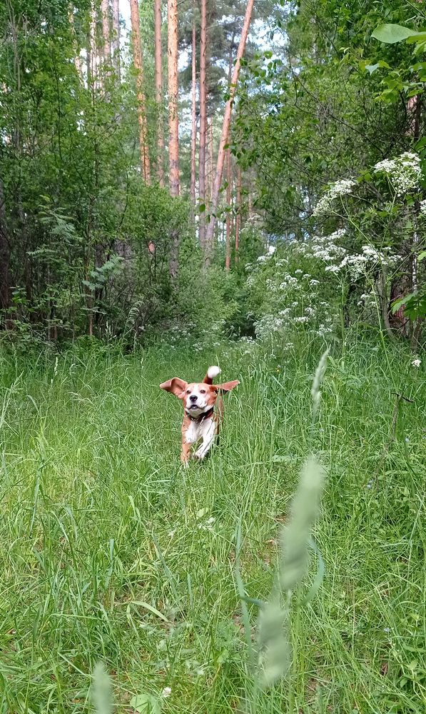 Photograph by Любовь Перевозникова