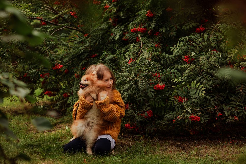 Фотография автора Ирина Ананич