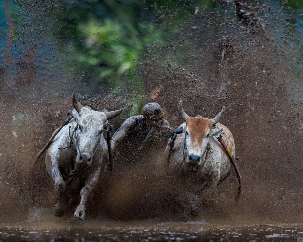 Photograph by Shanish Mishra