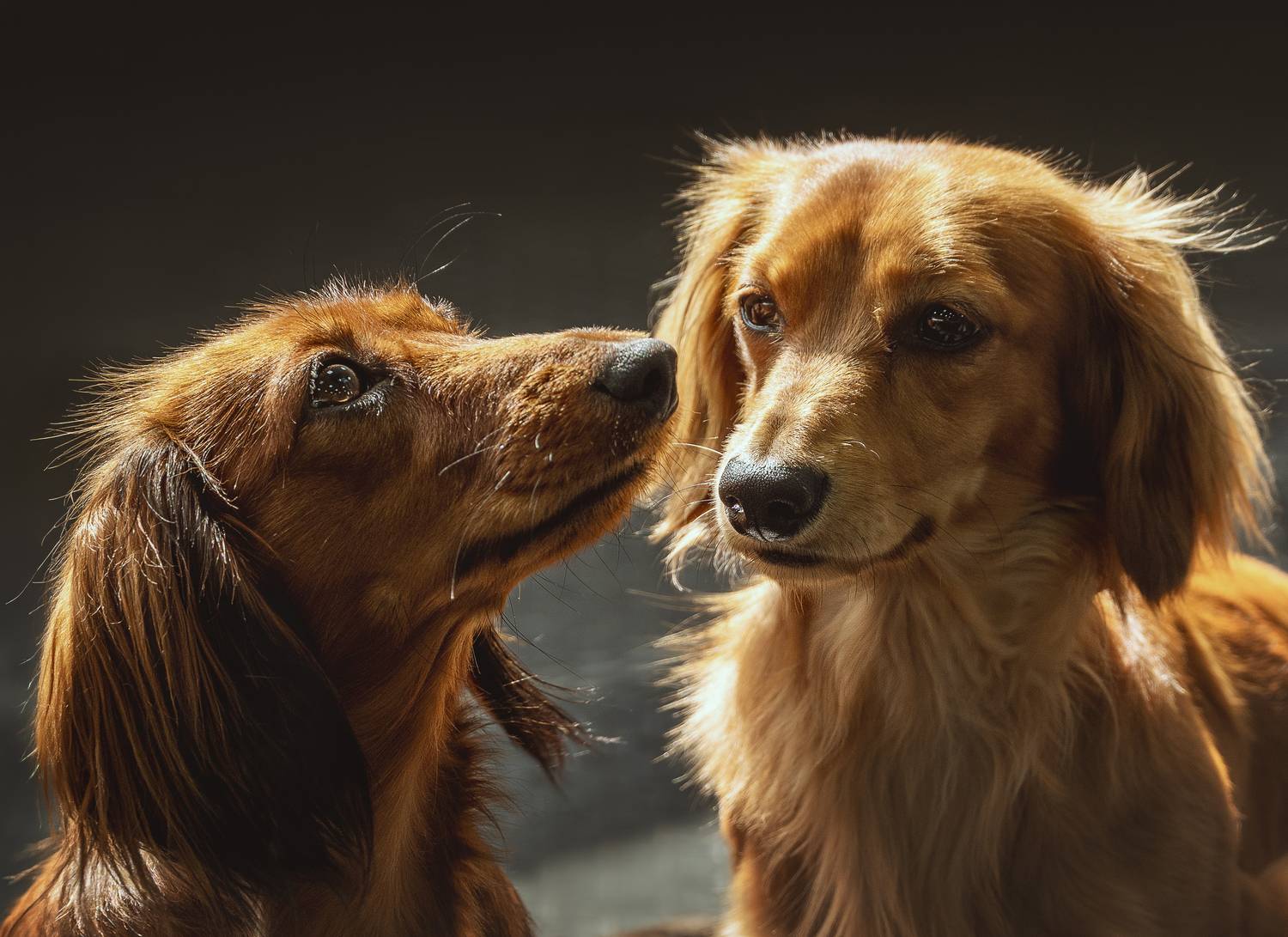 Фотография #13273982