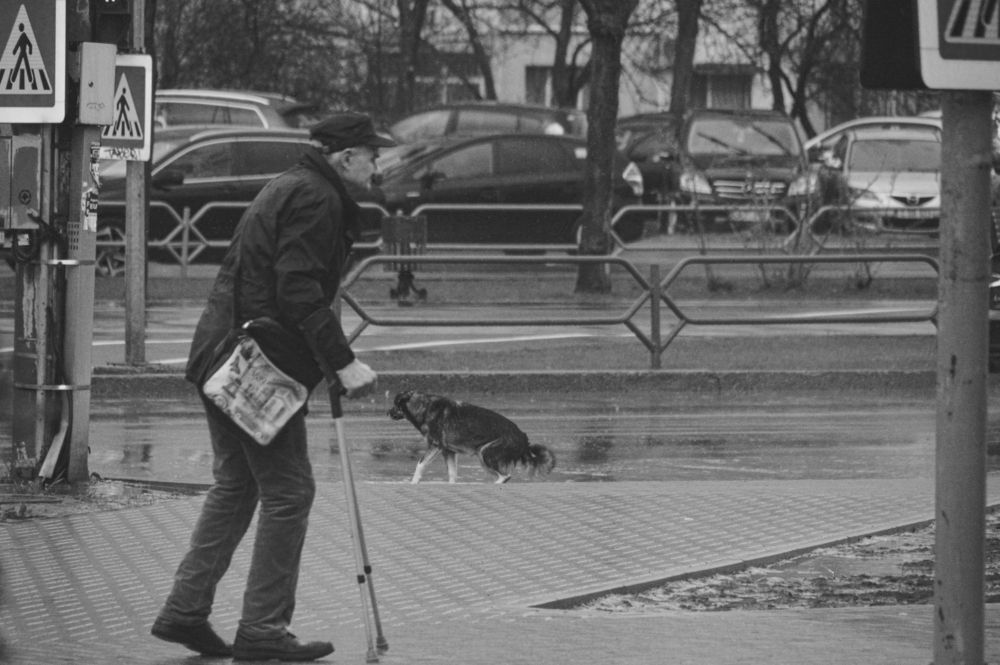 Фотография автора Yuri Afanasyev