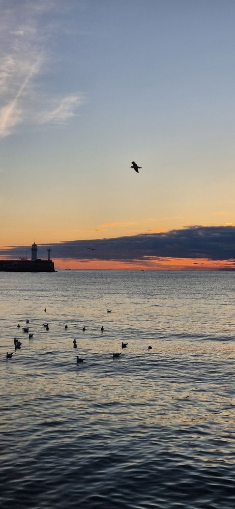 Photograph by Ольга Мусина