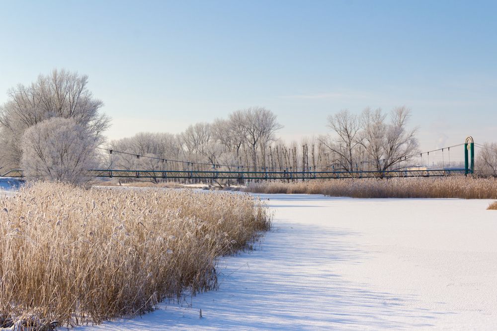 Photograph by Максим Шелякин