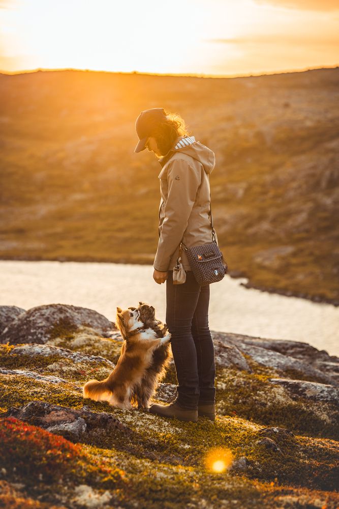 Photograph by Алина Долгова