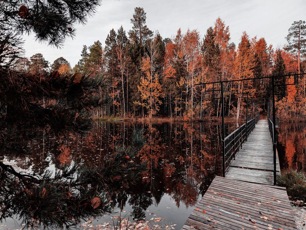 Photo #13274015