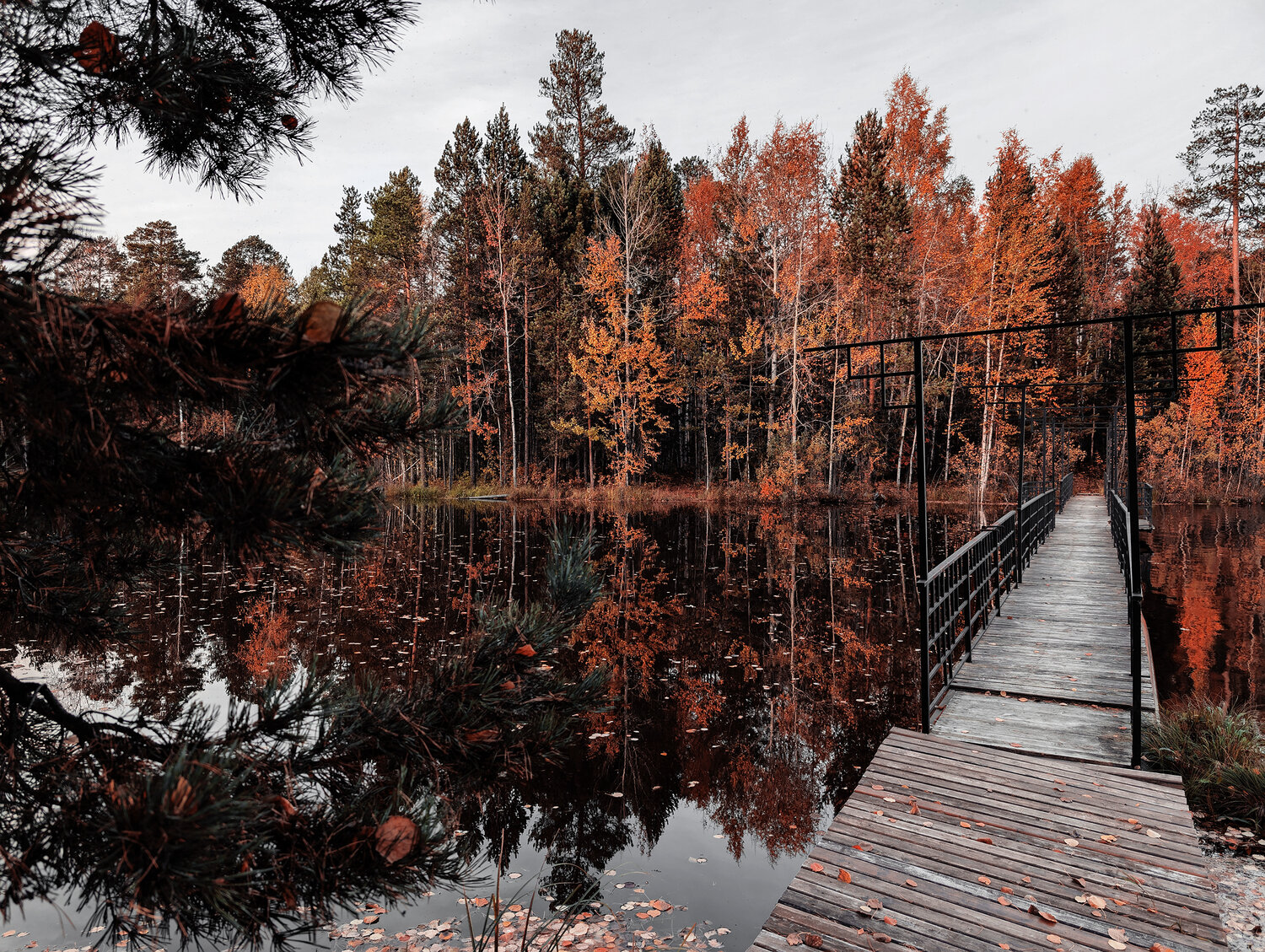 Photo #13274015