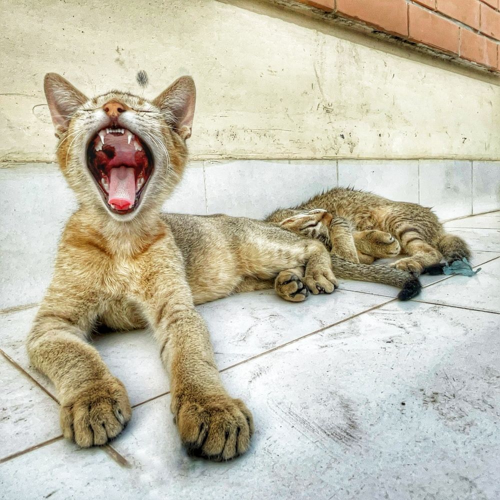 Photograph by Washiful Majid