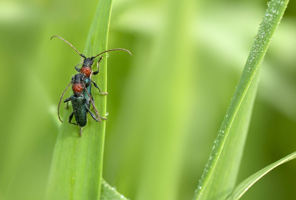 Photograph by Горбачева Маментьева Татьяна