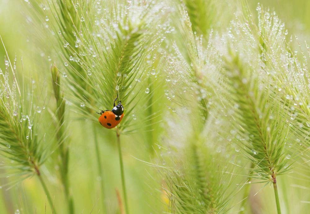 Photograph by Горбачева Маментьева Татьяна