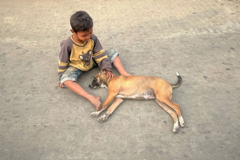 Photograph by Washiful Majid