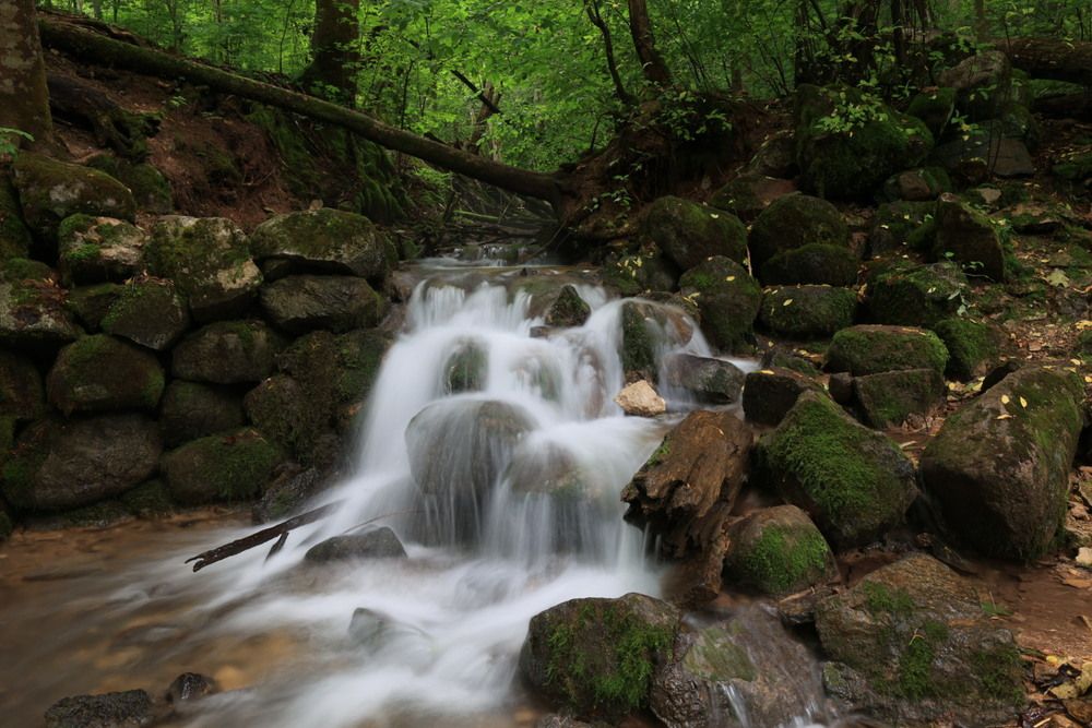 Фотография автора Одаренко Ольга