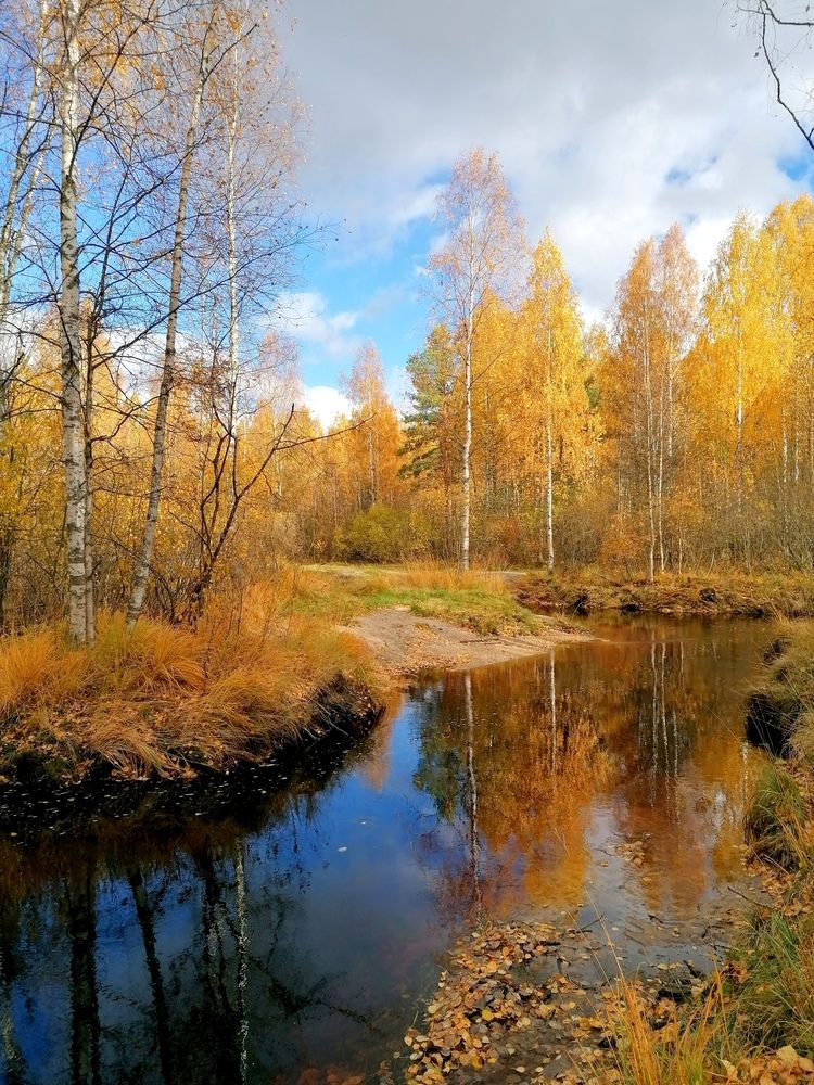 Река Неглинка осенью