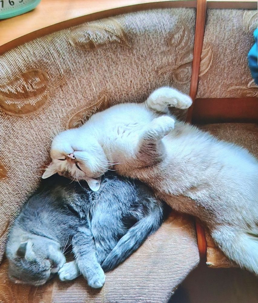 Photograph by Татьяна Нестерова