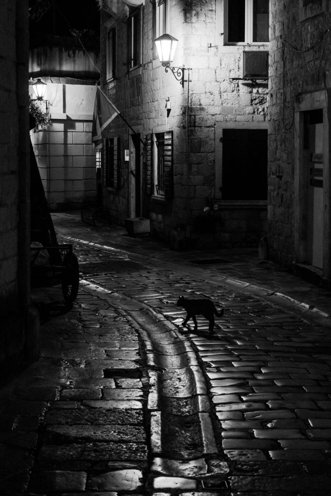 Фотография автора Alexander Shilov