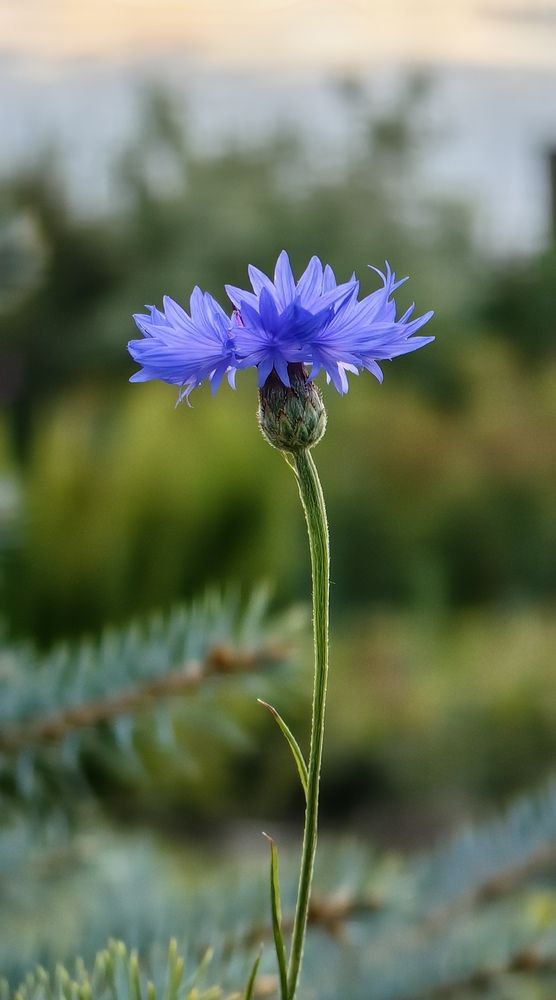 Photograph by Евгений Мелехов
