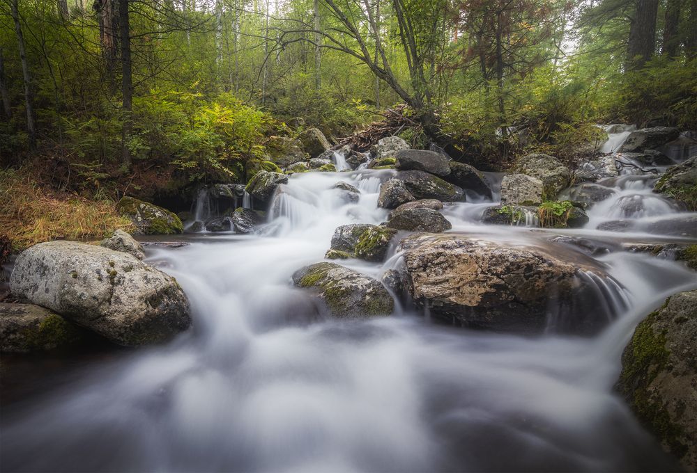 Photograph by Портных Дмитрий