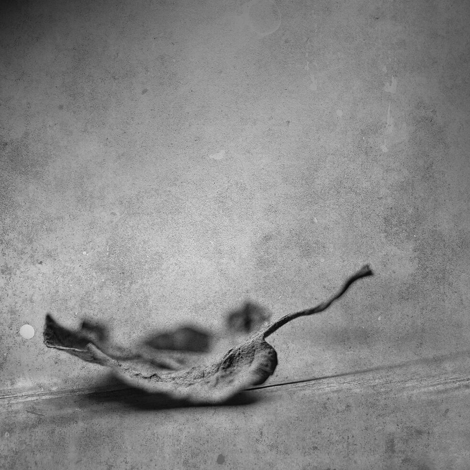 Сморщенный.