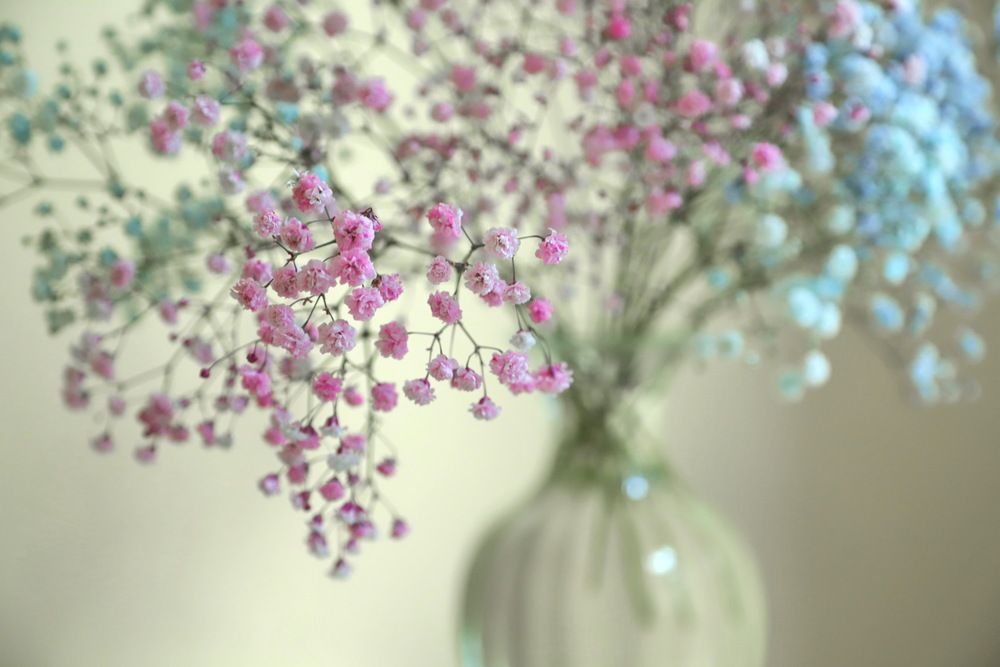 Photograph by Лада Денисова