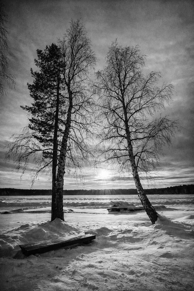 Photograph by Игорь Плешков