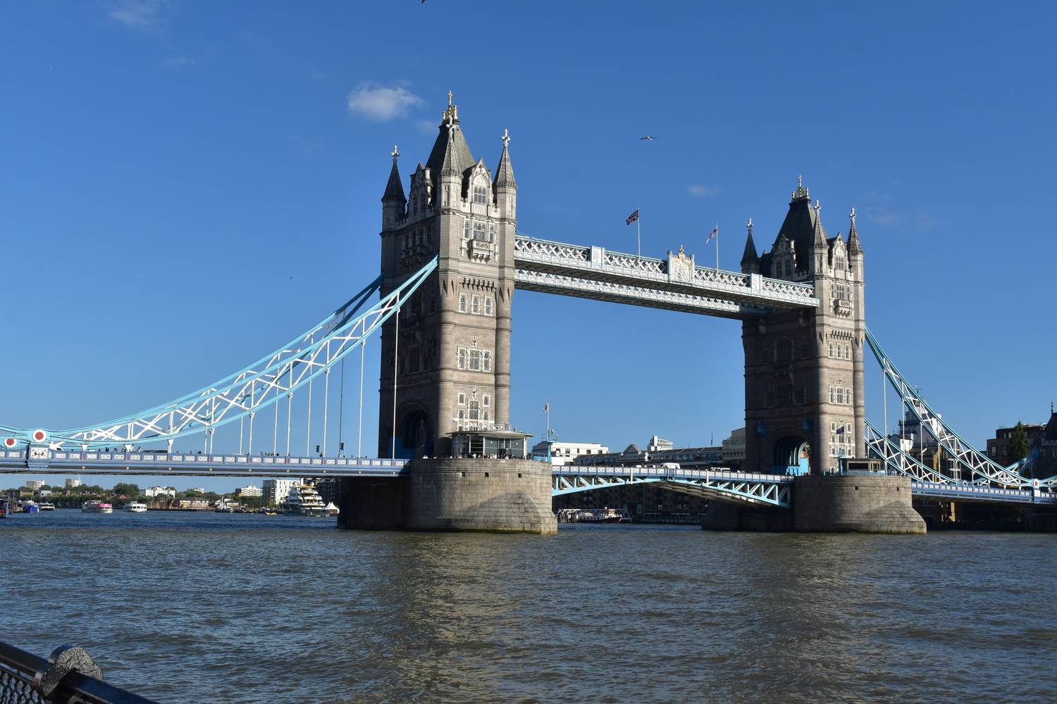 Photo #13274498